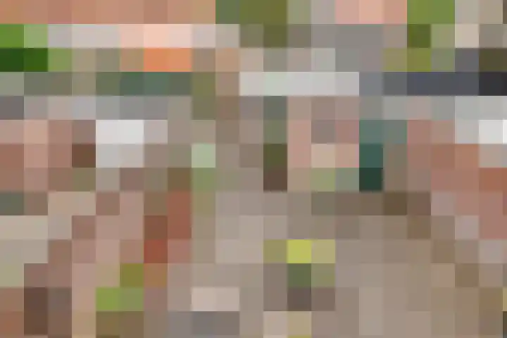 Margrietstraat 8 Buren thumbnail 5