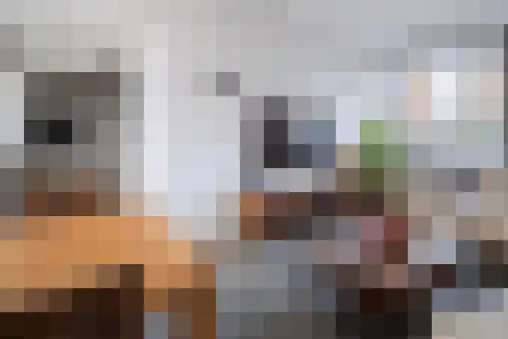 Maria Stuartlaan 32 Grave thumbnail 18