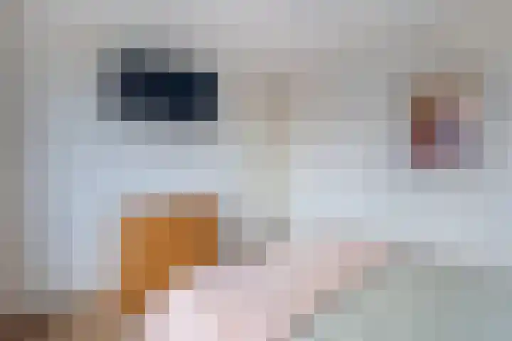 Maria Stuartlaan 32 Grave thumbnail 25