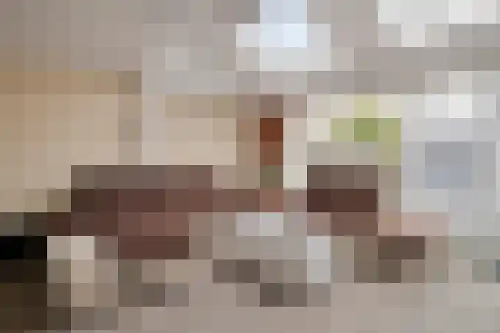 Maria Vosstraat 12 Pijnacker thumbnail 12