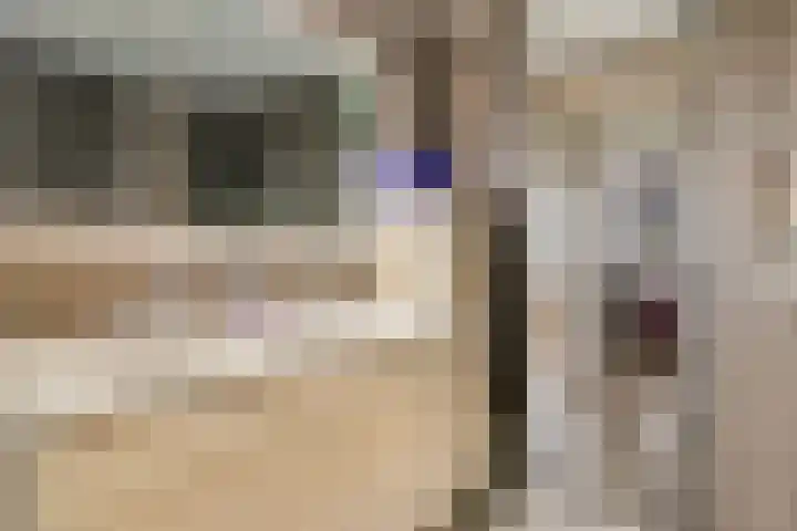 Maria Vosstraat 12 Pijnacker thumbnail 22