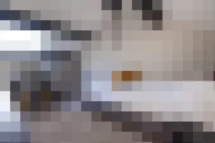 Mariadal 10 Venlo thumbnail 14