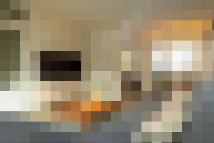 Mariadal 10 Venlo thumbnail 4