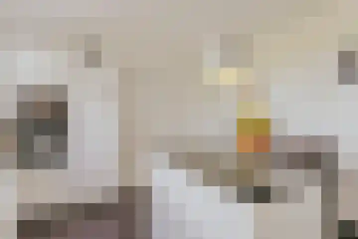 Mariagaarde 20 Katwijk NB thumbnail 21