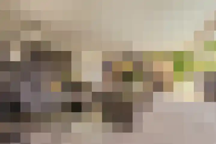 Mariagaarde 20 Katwijk NB thumbnail 47