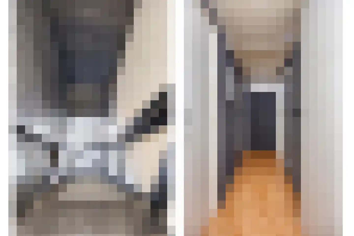 Mariahofke 28 Handel thumbnail 30