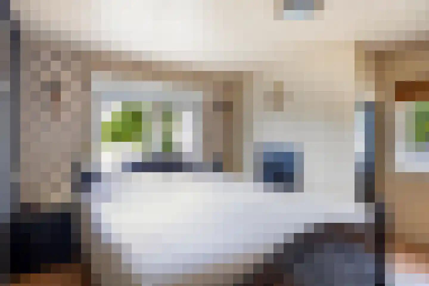 Mariahofke 28 Handel thumbnail 7