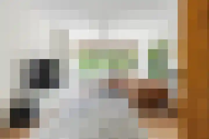 Marialaan 19 A Breda thumbnail 11