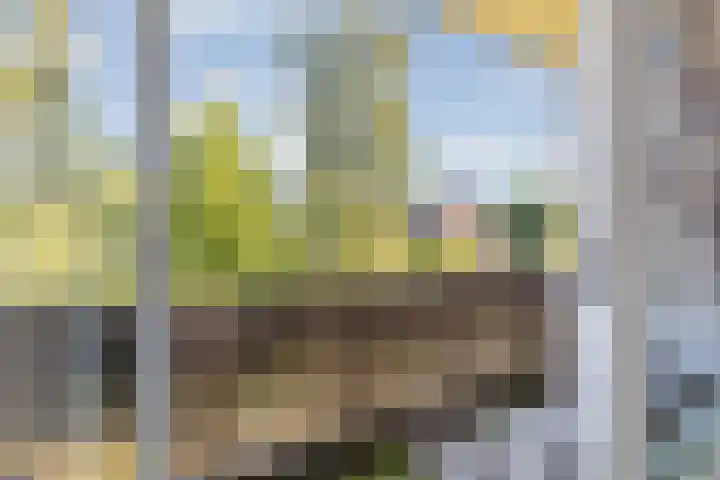 Marialaan 19 A Breda thumbnail 22