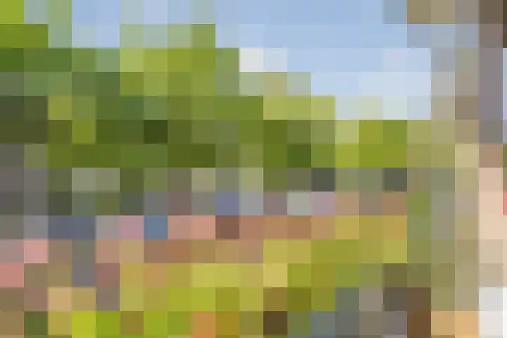 Marialaan 19 A Breda thumbnail 29