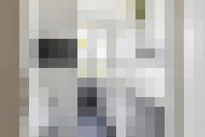 Marialaan 19 A Breda thumbnail 32