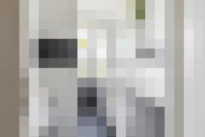 Marialaan 19 A Breda thumbnail 4