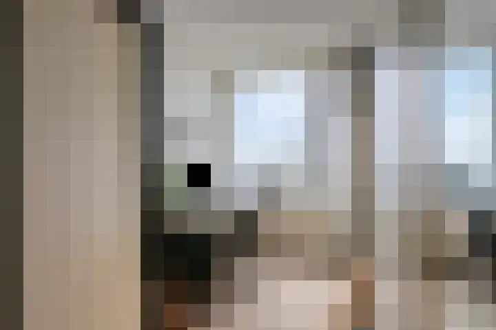 Marialaan 2 C Breda thumbnail 15