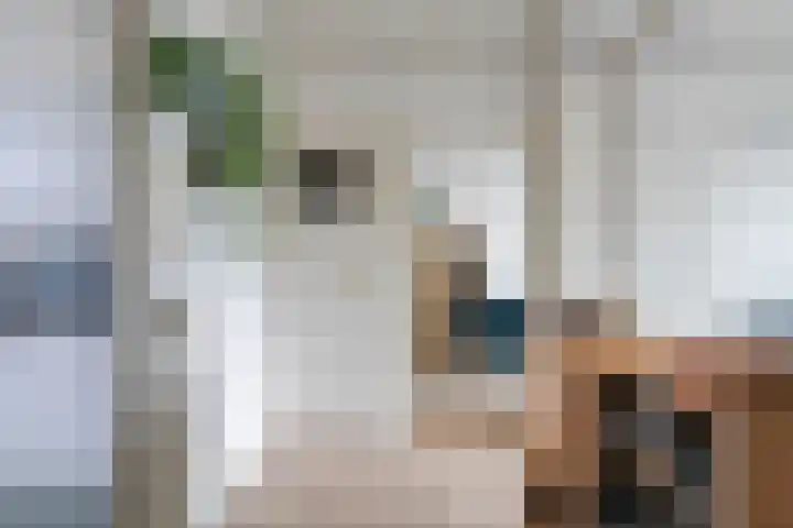 Marialaan 2 C Breda thumbnail 17