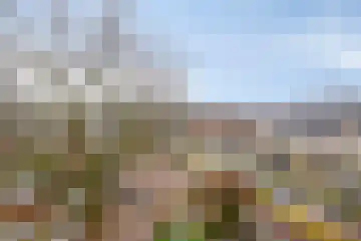 Marialaan 2 C Breda thumbnail 8