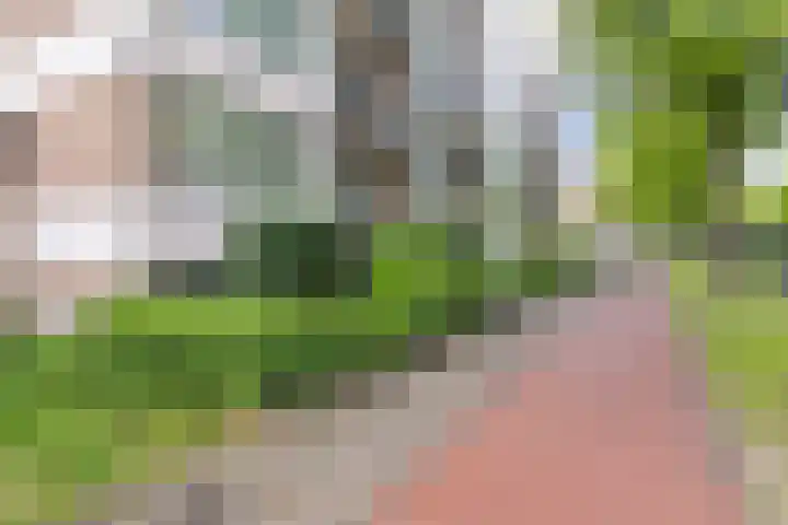 Marialaan 22 in Breda