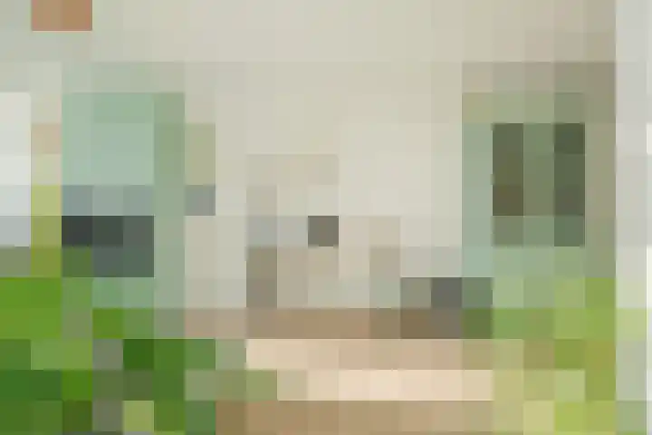 Marialaan 5 C Breda thumbnail 12