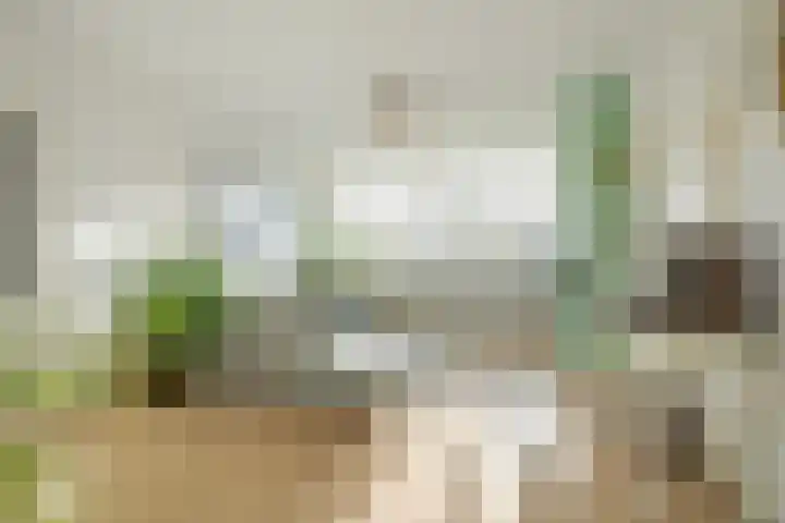 Marialaan 5 C Breda thumbnail 13