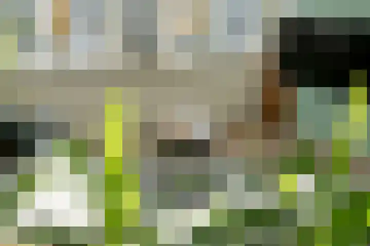Marialaan 5 C Breda thumbnail 17