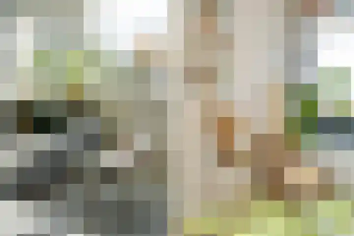Marialaan 5 C Breda thumbnail 20