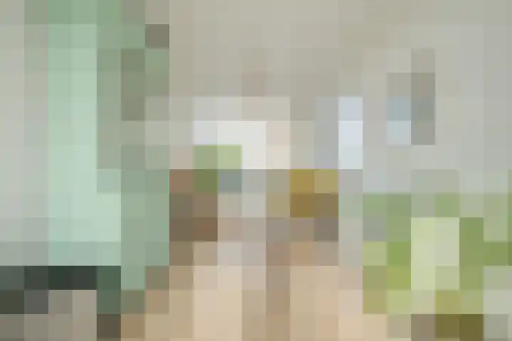 Marialaan 5 C Breda thumbnail 21
