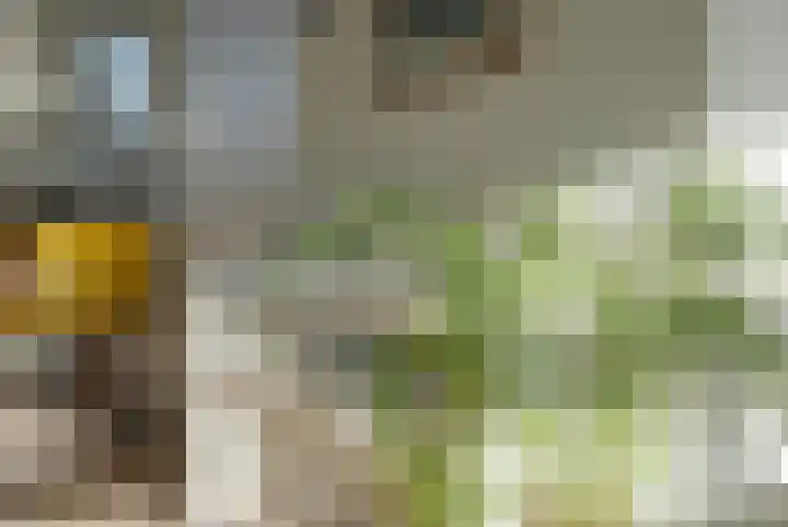 Marialaan 5 C Breda thumbnail 22
