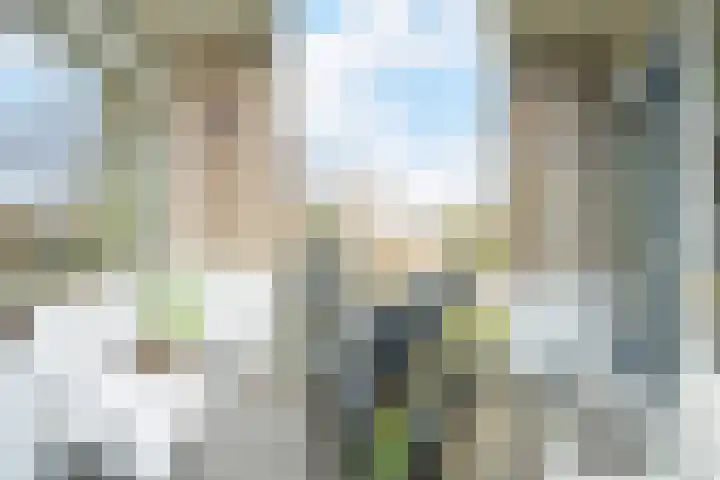 Marialaan 5 C Breda thumbnail 25