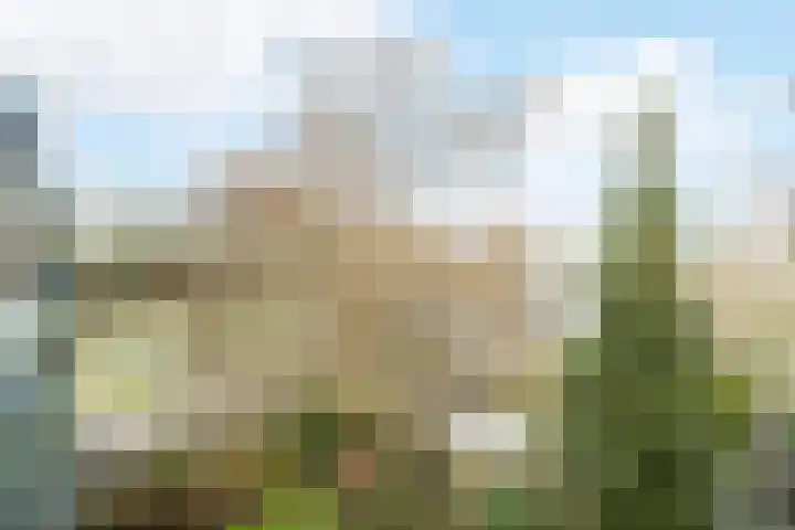 Marialaan 5 C Breda thumbnail 27