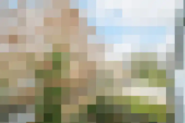 Marialaan 5 C Breda thumbnail 28