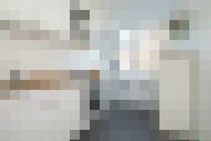 Marialaan 5 C Breda thumbnail 29