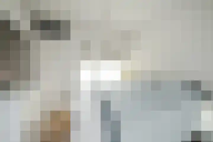 Marialaan 5 C Breda thumbnail 37