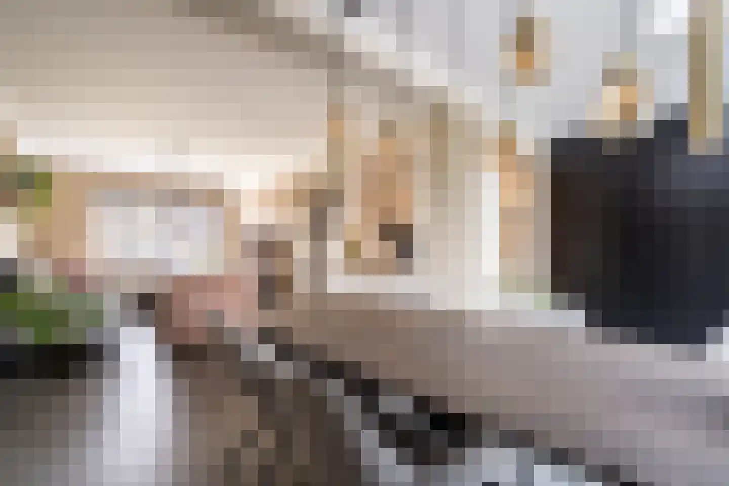 Mariannestraat 41 Weert