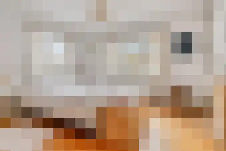 Mariaplein 1 Vught thumbnail 23