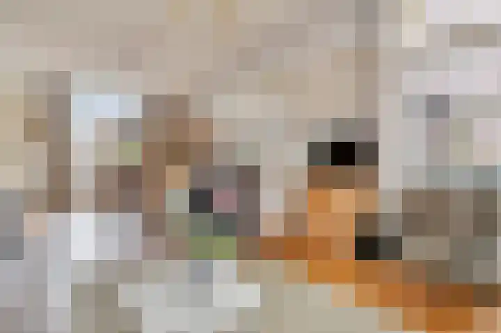 Mariaplein 1 Vught thumbnail 8