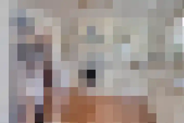 Mariapolder 19 Strijensas thumbnail 16