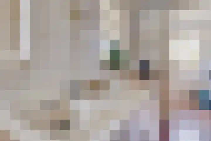 Mariapolder 19 Strijensas thumbnail 18