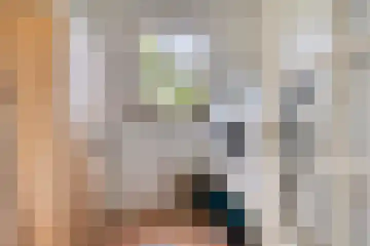 Mariapolder 19 Strijensas thumbnail 19