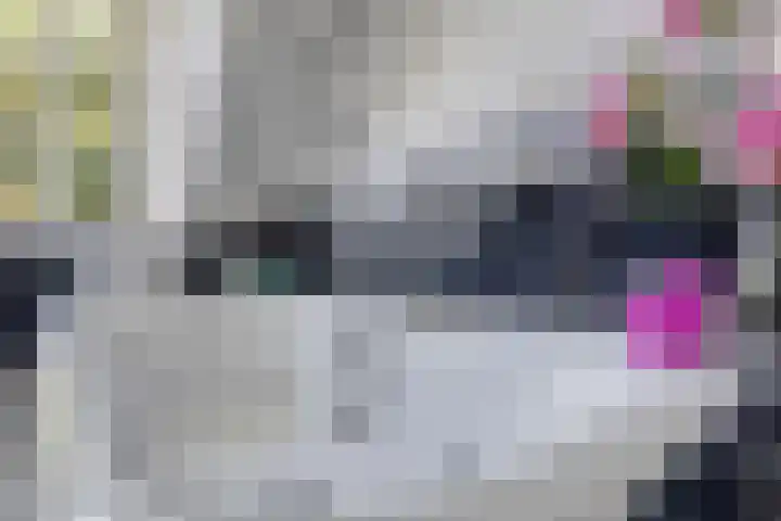 Mariapolder 19 Strijensas thumbnail 23