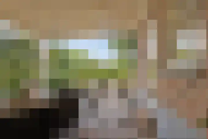 Mariapolder 19 Strijensas thumbnail 37