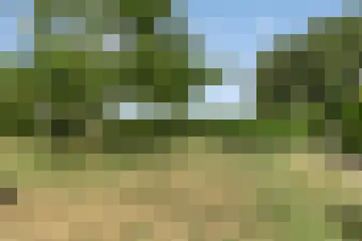 Mariapolder 19 Strijensas thumbnail 38