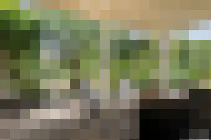 Mariapolder 19 Strijensas thumbnail 4