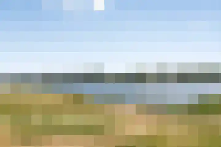 Mariapolder 19 Strijensas thumbnail 41