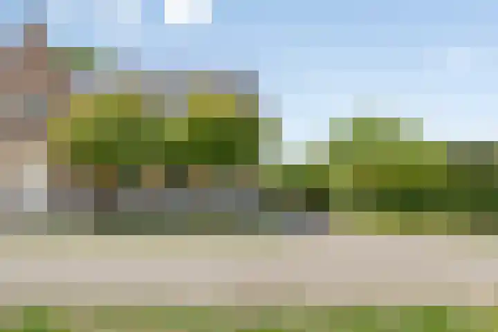 Mariapolder 19 Strijensas thumbnail 5