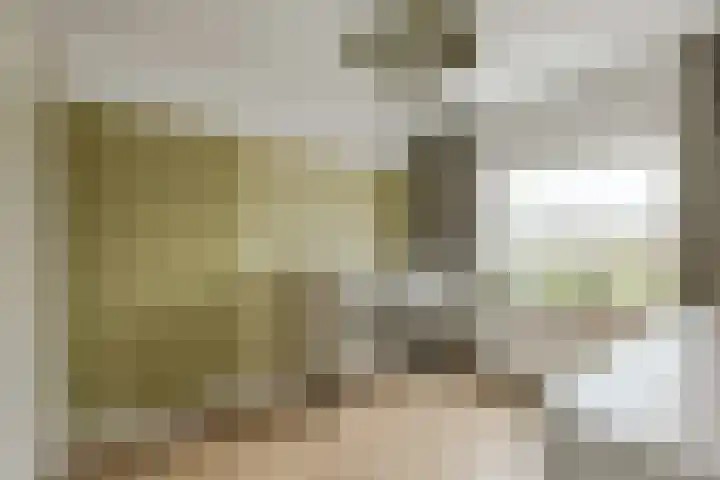 Mariastraat 34 Bavel thumbnail 22