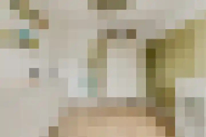 Mariastraat 34 Bavel thumbnail 24