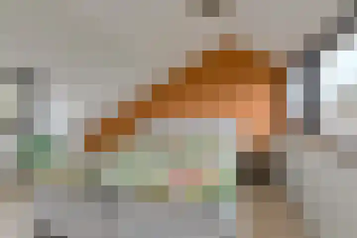 Mariastraat 34 Bavel thumbnail 34