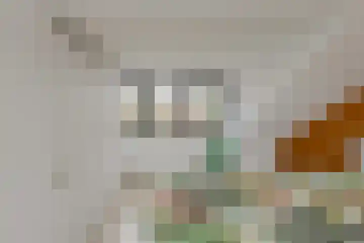 Mariastraat 34 Bavel thumbnail 35