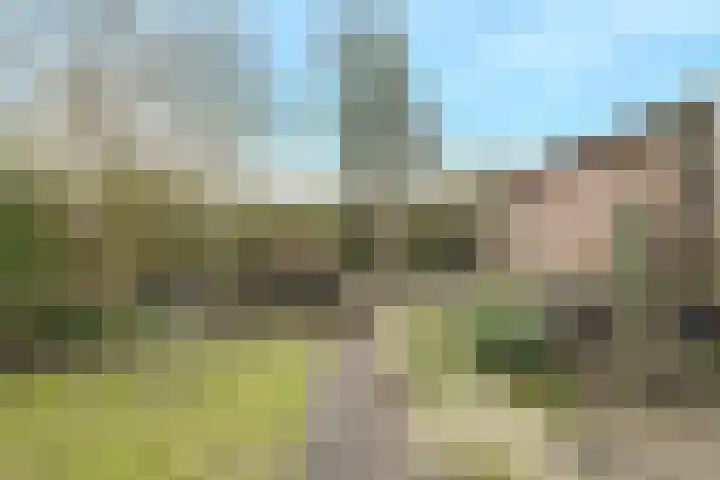 Mariastraat 34 Bavel thumbnail 40