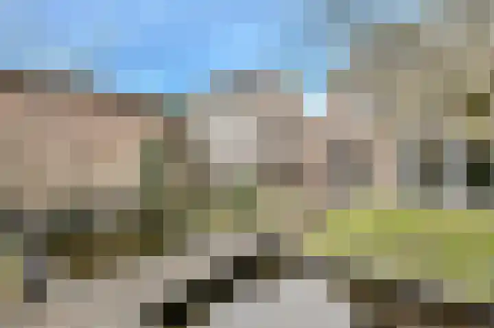 Mariastraat 34 Bavel thumbnail 44