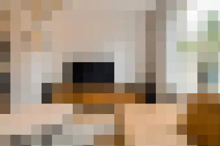 Mariastraat 34 Bavel thumbnail 7